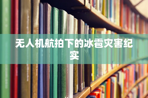 无人机航拍下的冰雹灾害纪实