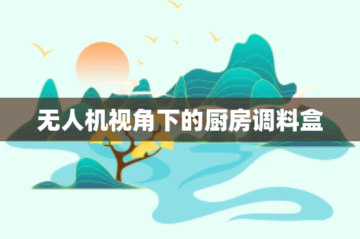 无人机视角下的厨房调料盒