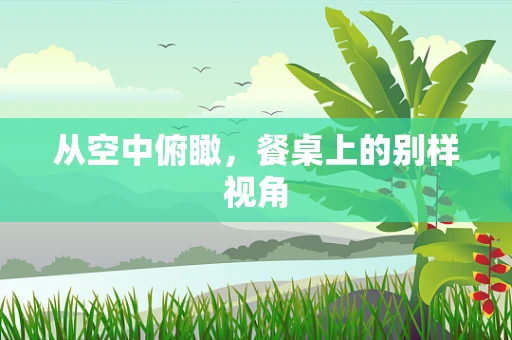 从空中俯瞰，餐桌上的别样视角