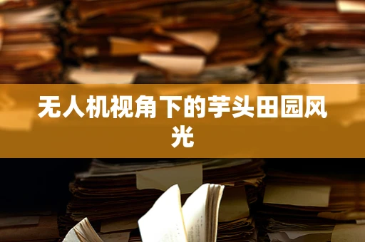 无人机视角下的芋头田园风光