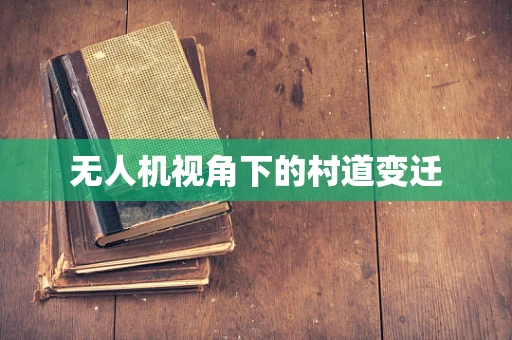 无人机视角下的村道变迁