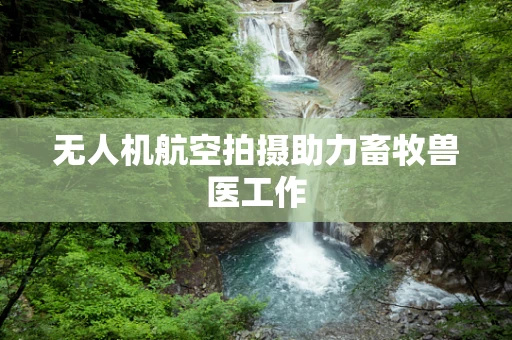 无人机航空拍摄助力畜牧兽医工作