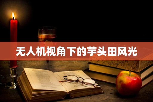无人机视角下的芋头田风光