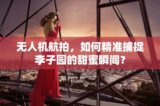 无人机航拍，如何精准捕捉李子园的甜蜜瞬间？