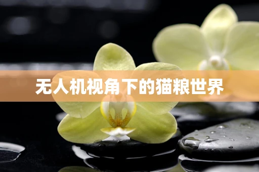 无人机视角下的猫粮世界