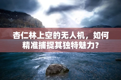 杏仁林上空的无人机，如何精准捕捉其独特魅力？