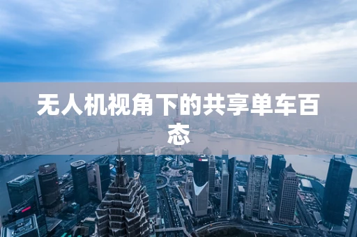 无人机视角下的共享单车百态