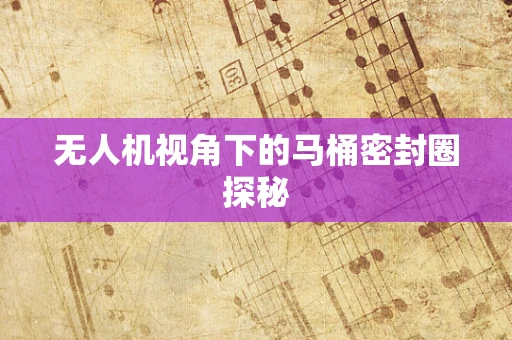 无人机视角下的马桶密封圈探秘