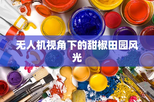 无人机视角下的甜椒田园风光