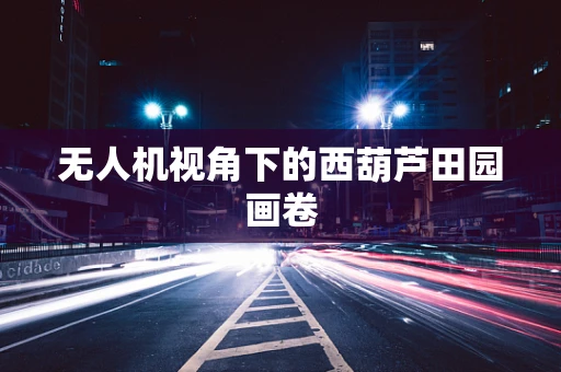 无人机视角下的西葫芦田园画卷