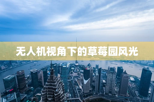 无人机视角下的草莓园风光