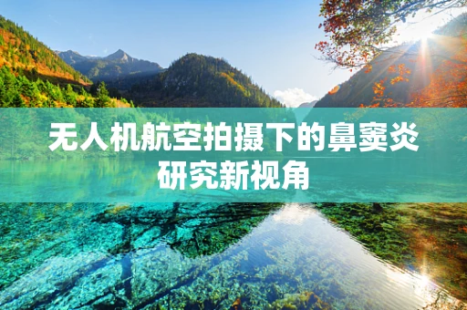 无人机航空拍摄下的鼻窦炎研究新视角
