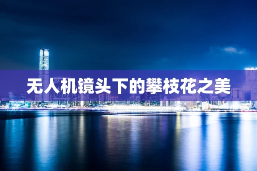 无人机镜头下的攀枝花之美