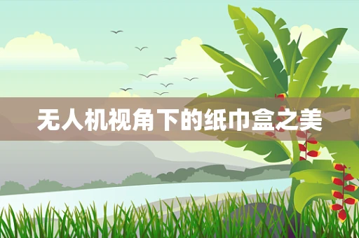 无人机视角下的纸巾盒之美