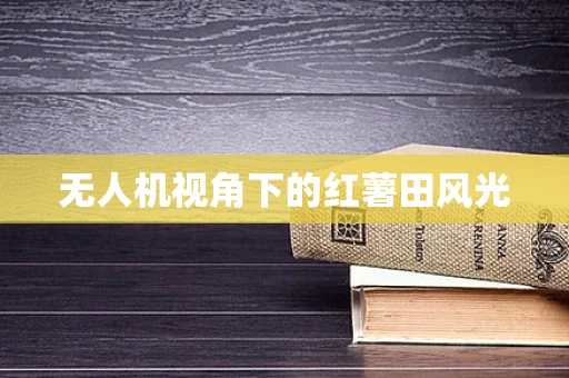 无人机视角下的红薯田风光