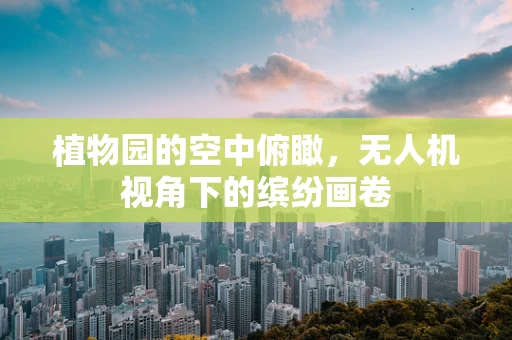 植物园的空中俯瞰，无人机视角下的缤纷画卷