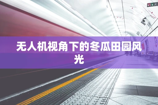 无人机视角下的冬瓜田园风光