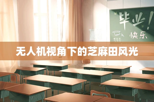 无人机视角下的芝麻田风光