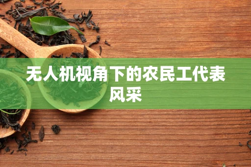 无人机视角下的农民工代表风采