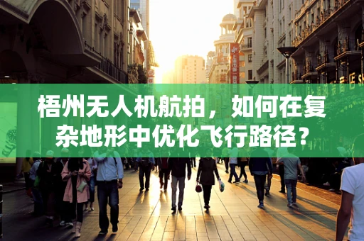 梧州无人机航拍，如何在复杂地形中优化飞行路径？