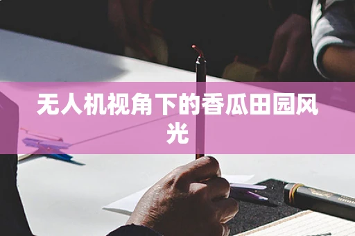 无人机视角下的香瓜田园风光