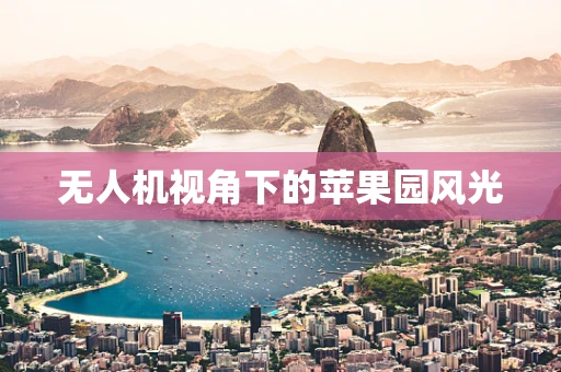 无人机视角下的苹果园风光