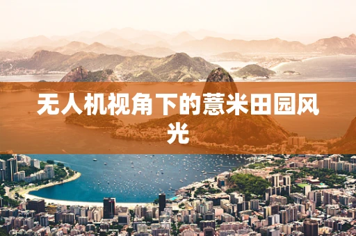 无人机视角下的薏米田园风光