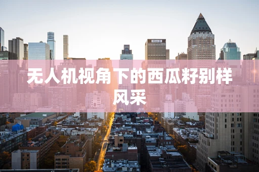 无人机视角下的西瓜籽别样风采