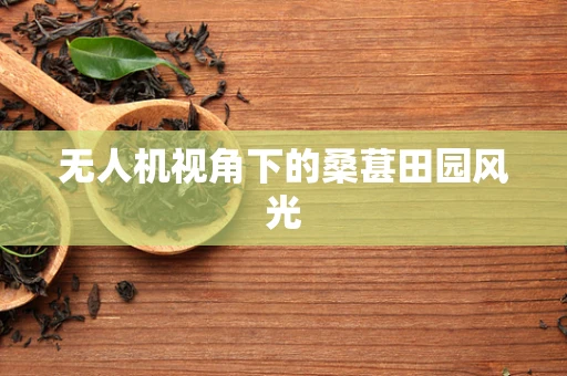 无人机视角下的桑葚田园风光
