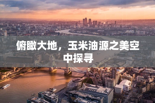 俯瞰大地，玉米油源之美空中探寻