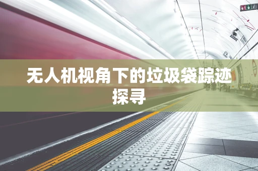 无人机视角下的垃圾袋踪迹探寻