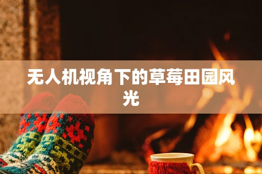 无人机视角下的草莓田园风光