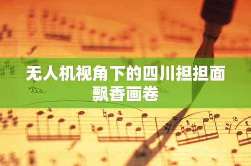 无人机视角下的四川担担面飘香画卷