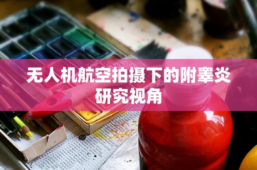 无人机航空拍摄下的附睾炎研究视角