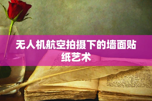 无人机航空拍摄下的墙面贴纸艺术