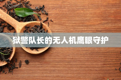 狱警队长的无人机鹰眼守护