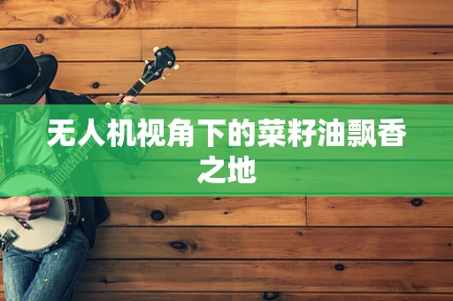 无人机视角下的菜籽油飘香之地
