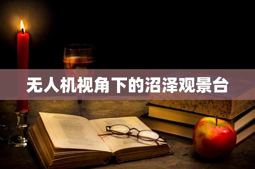 无人机视角下的沼泽观景台
