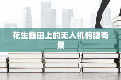 花生酱田上的无人机俯瞰奇景