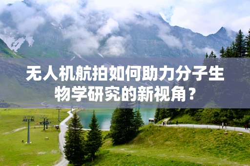 无人机航拍如何助力分子生物学研究的新视角？
