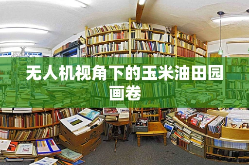 无人机视角下的玉米油田园画卷