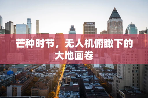 芒种时节，无人机俯瞰下的大地画卷