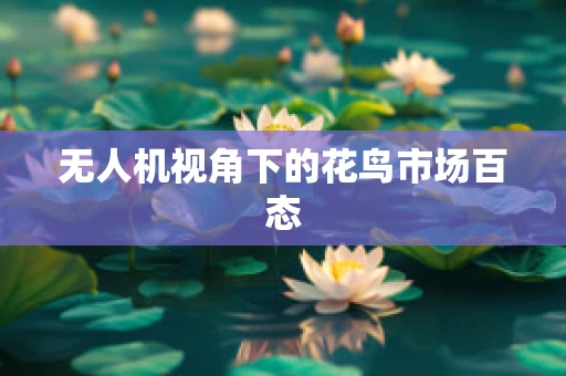 无人机视角下的花鸟市场百态