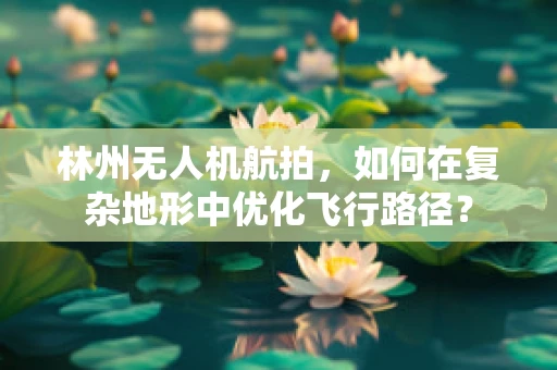林州无人机航拍，如何在复杂地形中优化飞行路径？