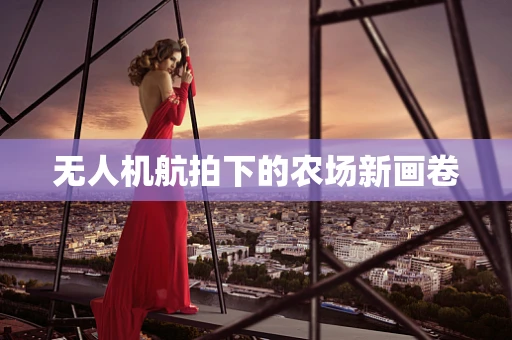 无人机航拍下的农场新画卷