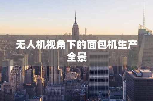 无人机视角下的面包机生产全景