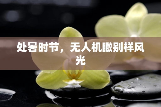 处暑时节，无人机瞰别样风光