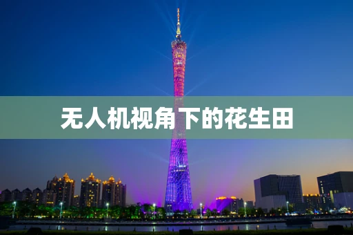 无人机视角下的花生田
