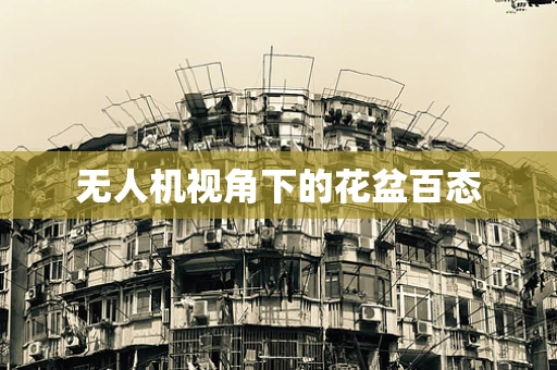 无人机视角下的花盆百态