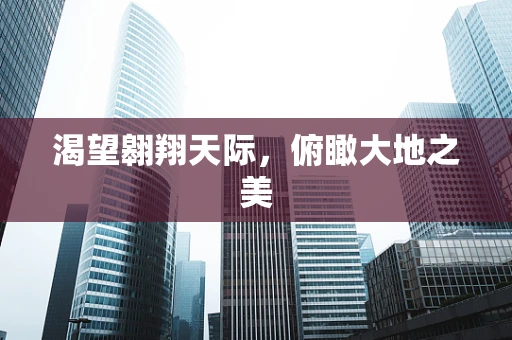 渴望翱翔天际，俯瞰大地之美